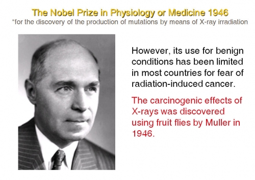 The Nobel Prize In Physiology Or Medicine